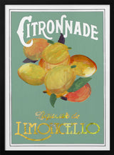 Vintage Limoncello Citronnade