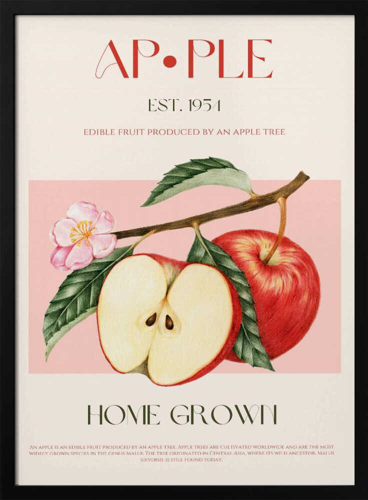 Botanical Apple Study Art Print UK — Botanical Fresh Wall Art — Kitchen — Wall It All Prints