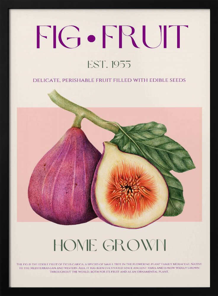 Vintage Fig Fruit Art Print UK — Botanical Fresh Wall Art — Kitchen — Wall It All Prints