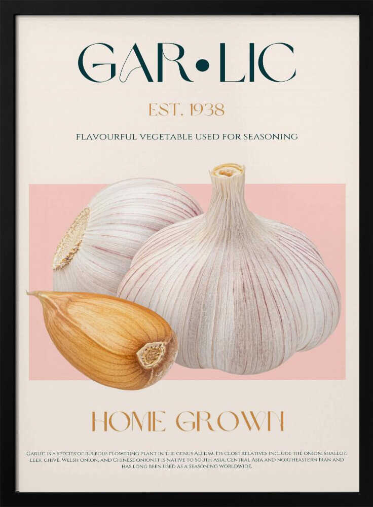 Fresh Home Grown Garlic Art Print UK — Botanical Fresh Wall Art — Kitchen — Wall It All Prints