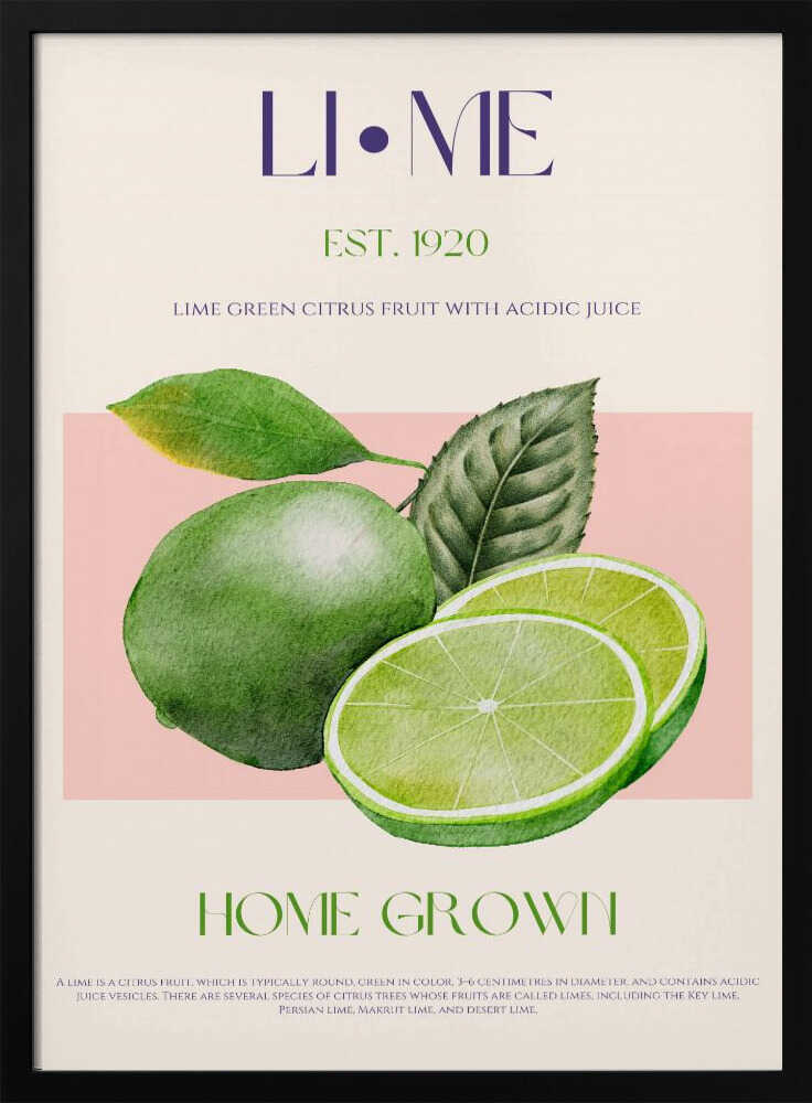 Home Grown Limes Art Print UK — Botanical Vibrant Wall Art — Kitchen — Wall It All Prints
