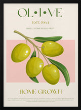 Green Olive Branch