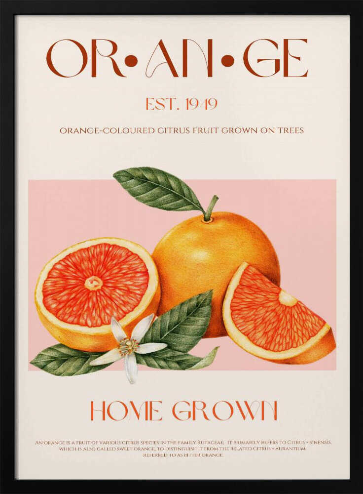 Fresh Orange Botanical Art Print UK — Botanical Vibrant Wall Art — Kitchen — Wall It All Prints