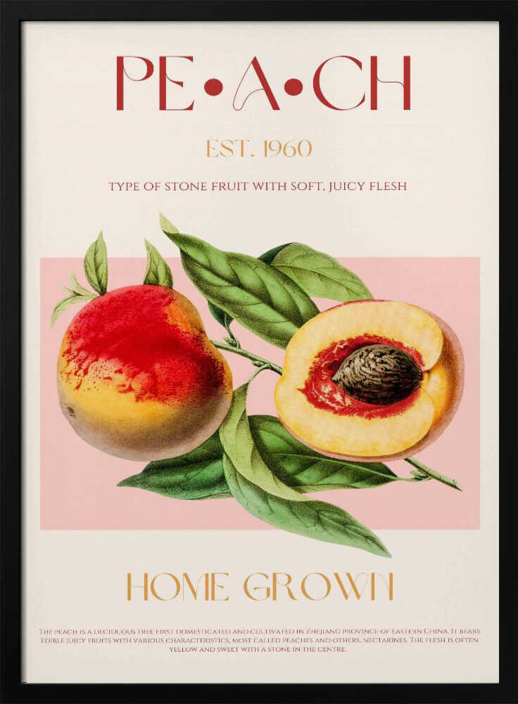 Vintage Peach Botanical Art Print UK — Botanical Fresh Wall Art — Kitchen — Wall It All Prints