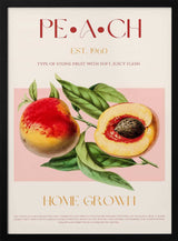 Vintage Peach Botanical