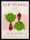 Rhubarb Home Grown