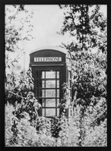 Timeless English Phone Booth Art Print UK — Botanical Calm Wall Art — Living Room — Wall It All Prints