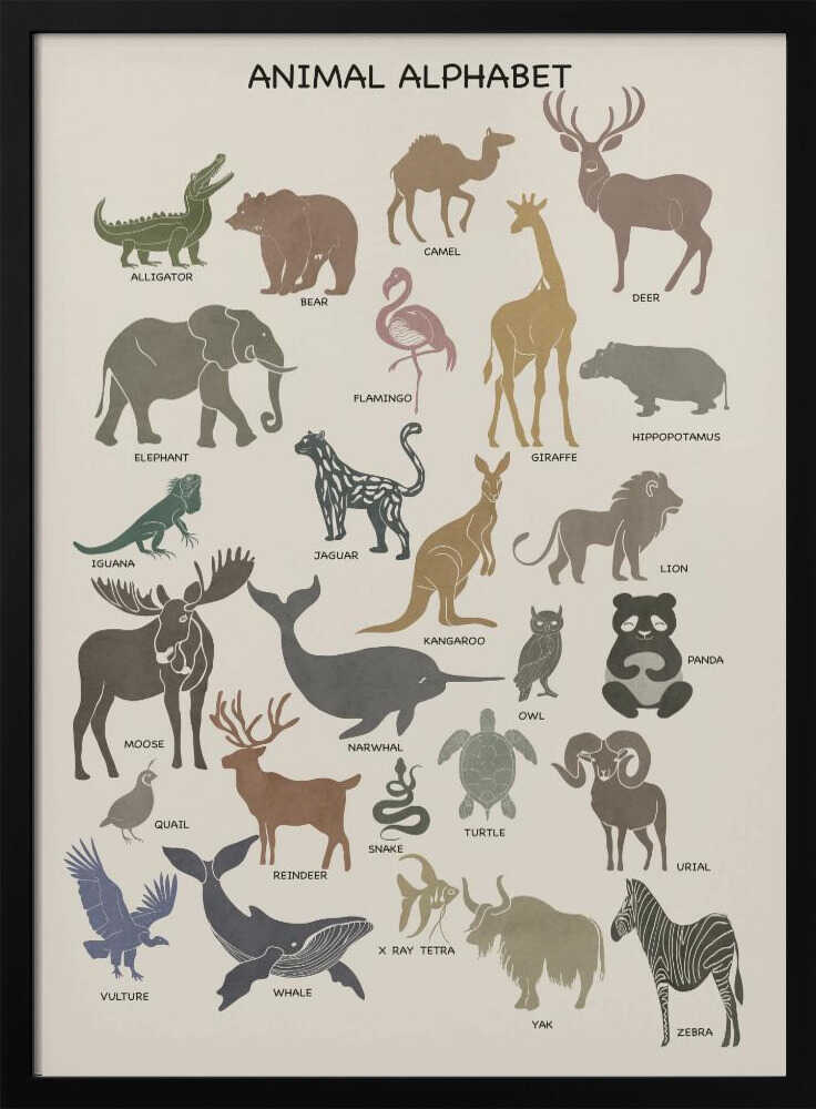 Charming Animal Alphabet