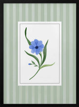 Serene Blue Floral