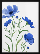 Delicate Blue Flowers