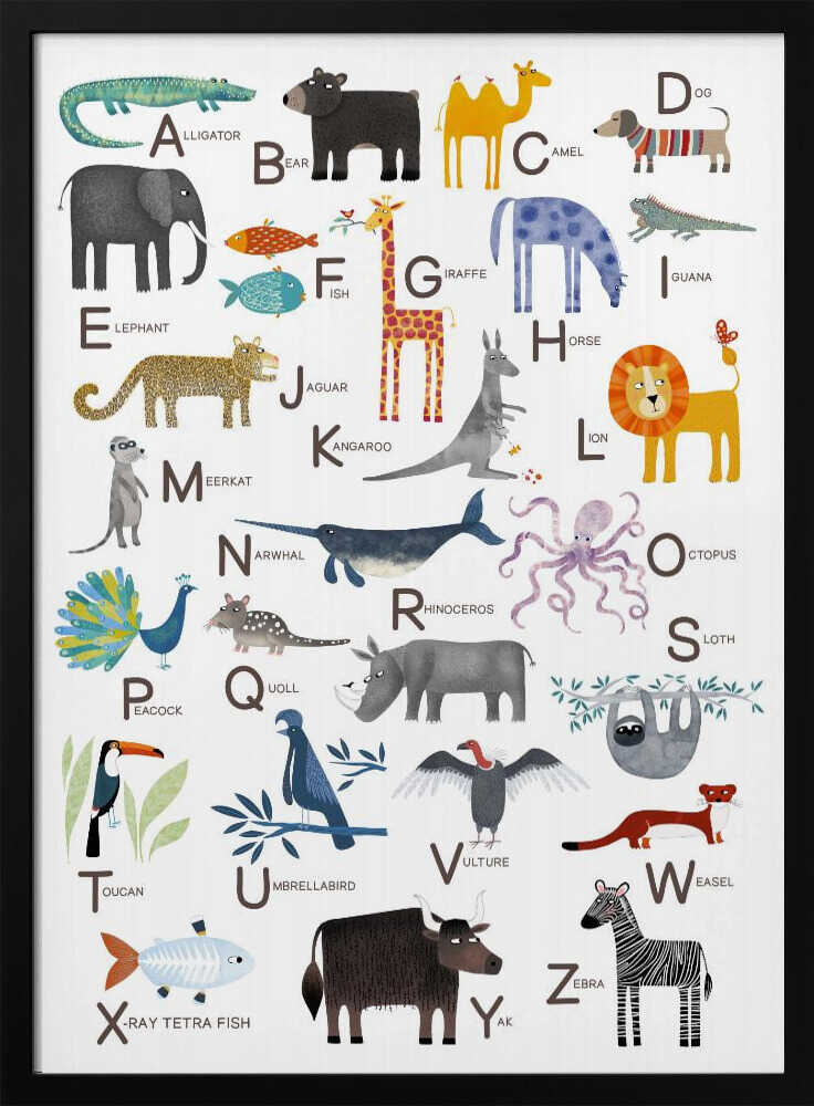 Colorful Animal Alphabet