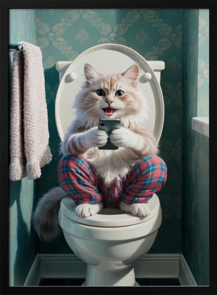 Funny Cat On Toilet