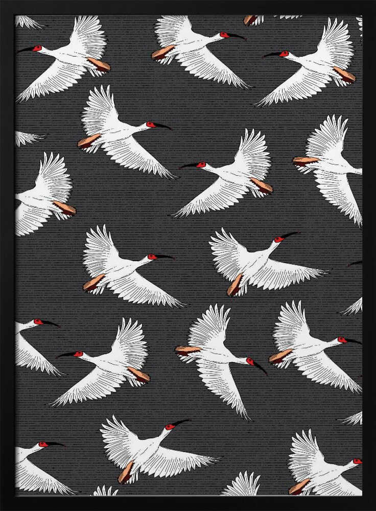 Graceful White Birds Flying