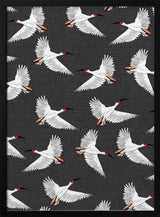 Graceful White Birds Flying