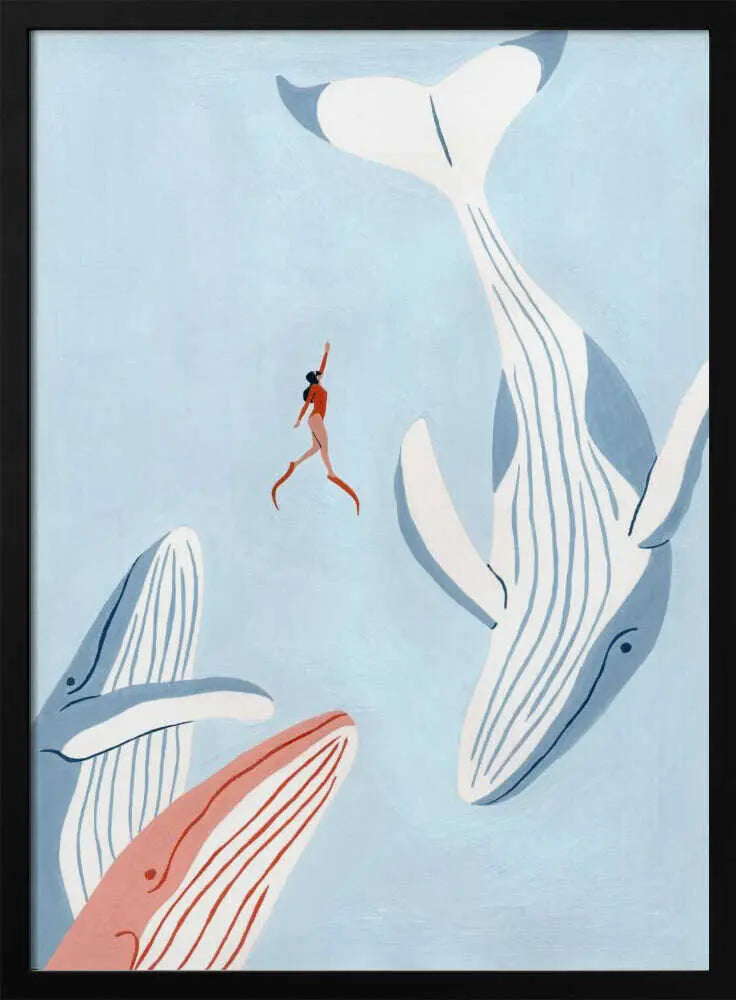 Woman And Whales Swim