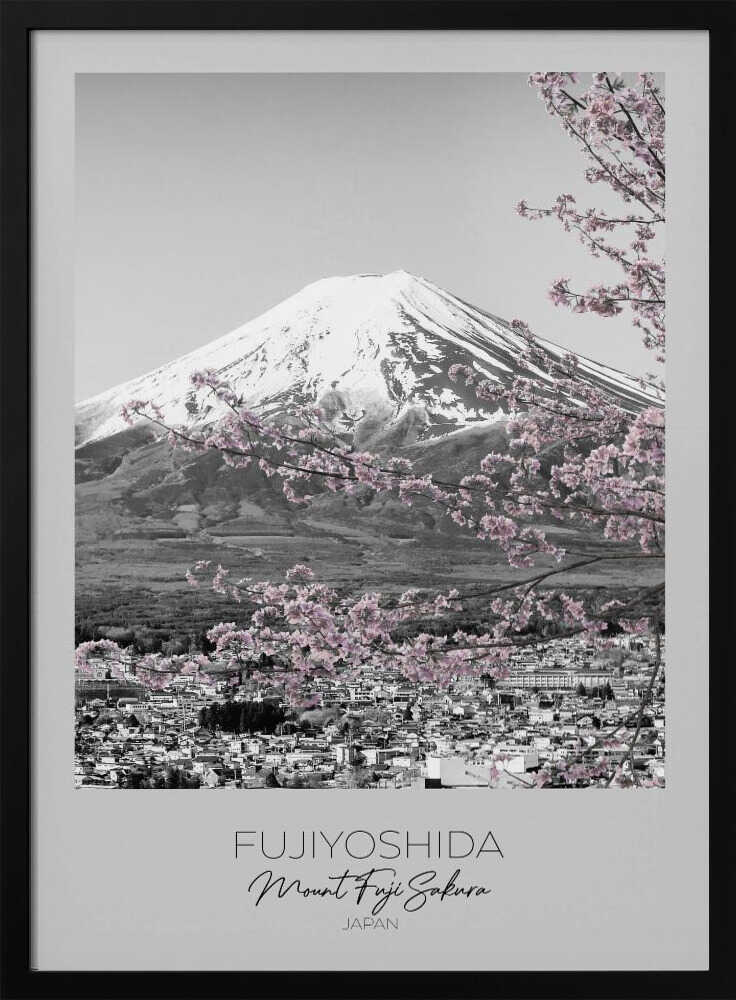 Mount Fuji Pink Sakura Melanie Viola