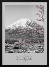 Mount Fuji Pink Sakura Melanie Viola