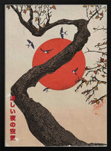 Red Sun Tree Swallows