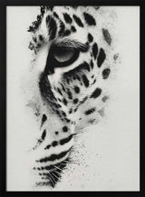 Intense Leopard Gaze