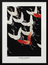 A Myriad of Flying Cranes