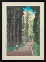 Nikko Gaido (the Road To Nikko) (1930)