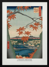 Maple Trees At Mama, Tekona Shrine and Tdugi Bridge