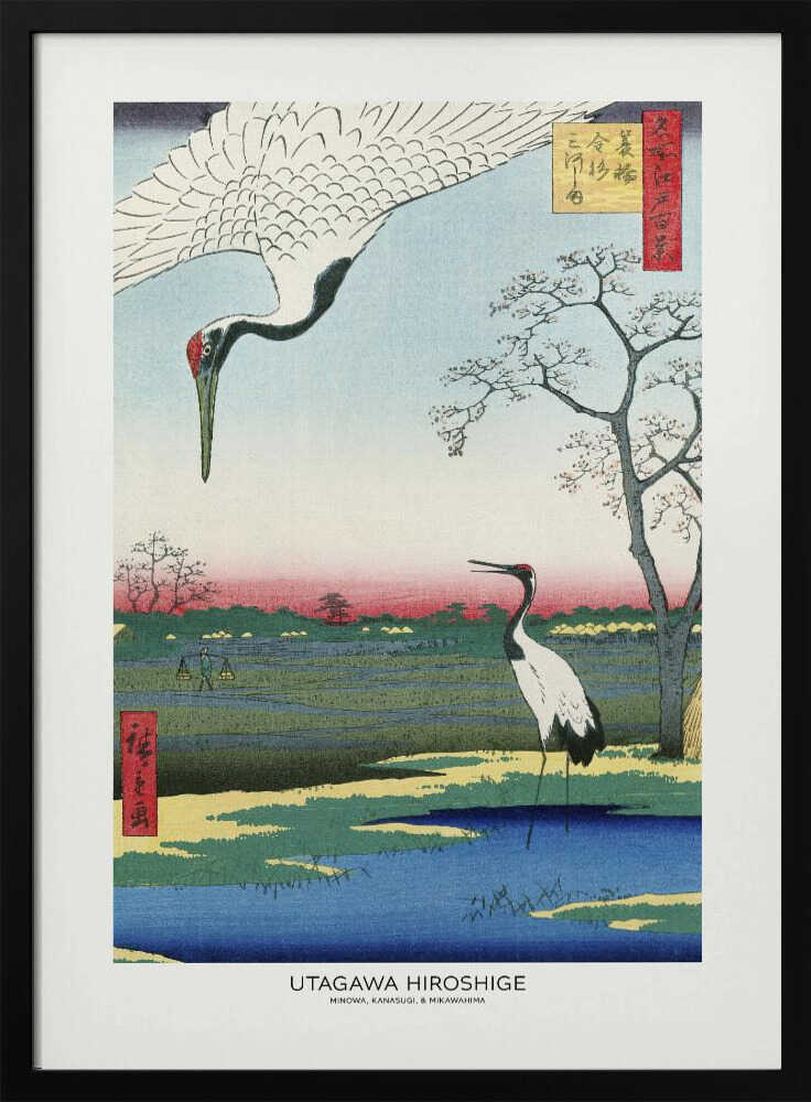 Minowa, Kanasugi, and Mikawashima