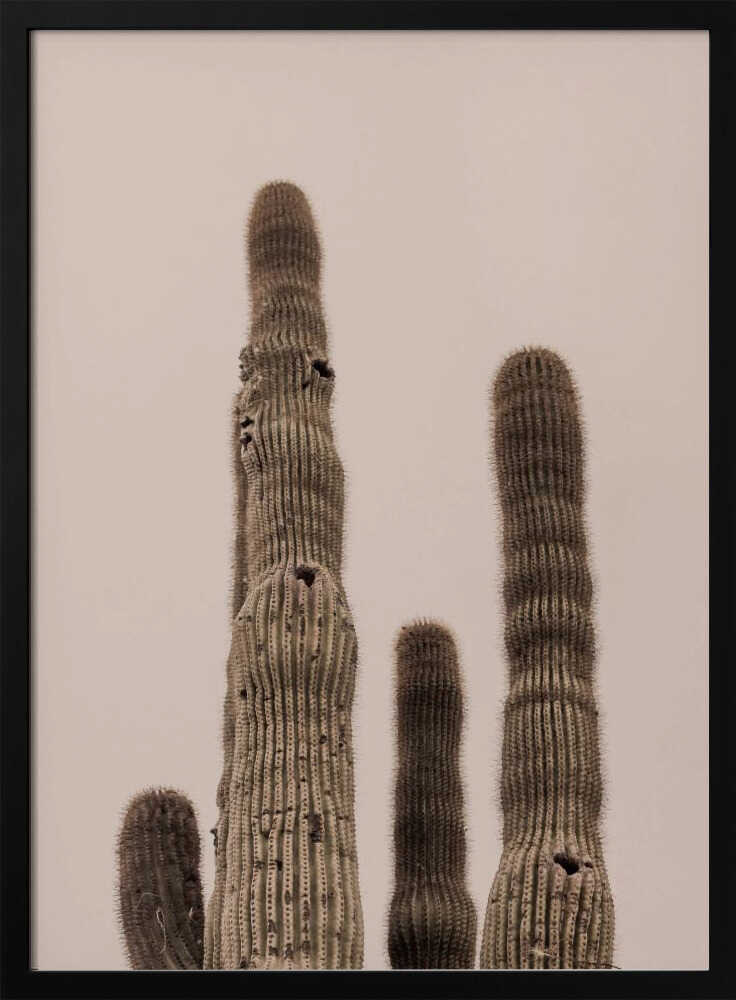 Tall Saguaro Cacti Art Print UK — Botanical Calm Wall Art — Bedroom — Wall It All Prints