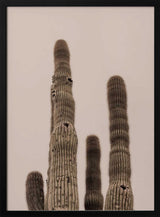 Tall Saguaro Cacti Art Print UK — Botanical Calm Wall Art — Bedroom — Wall It All Prints