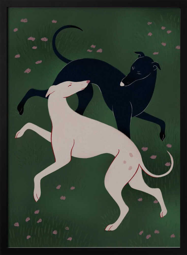 Elegant Greyhound Pair