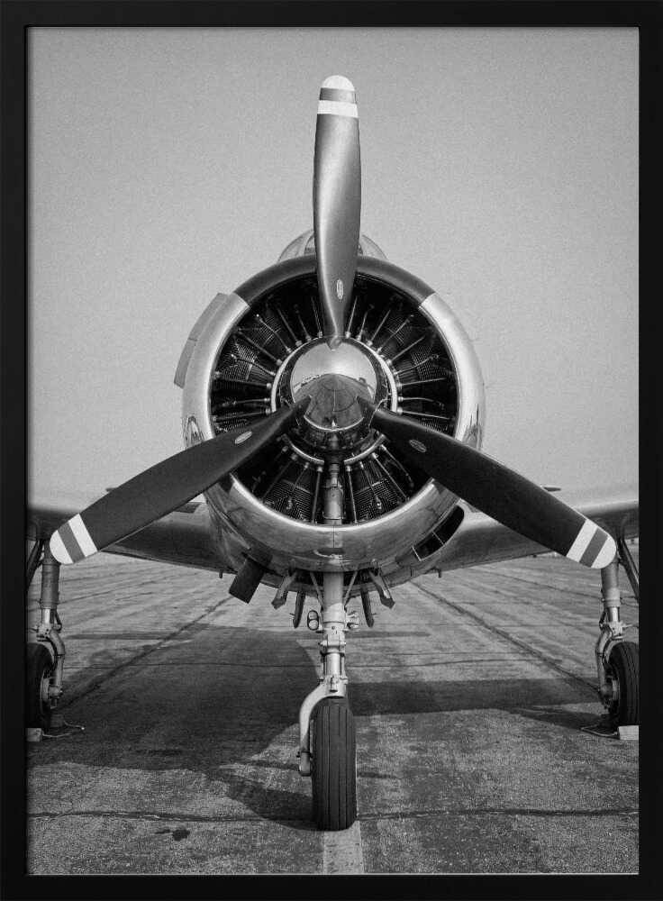 Polished Vintage Aircraft