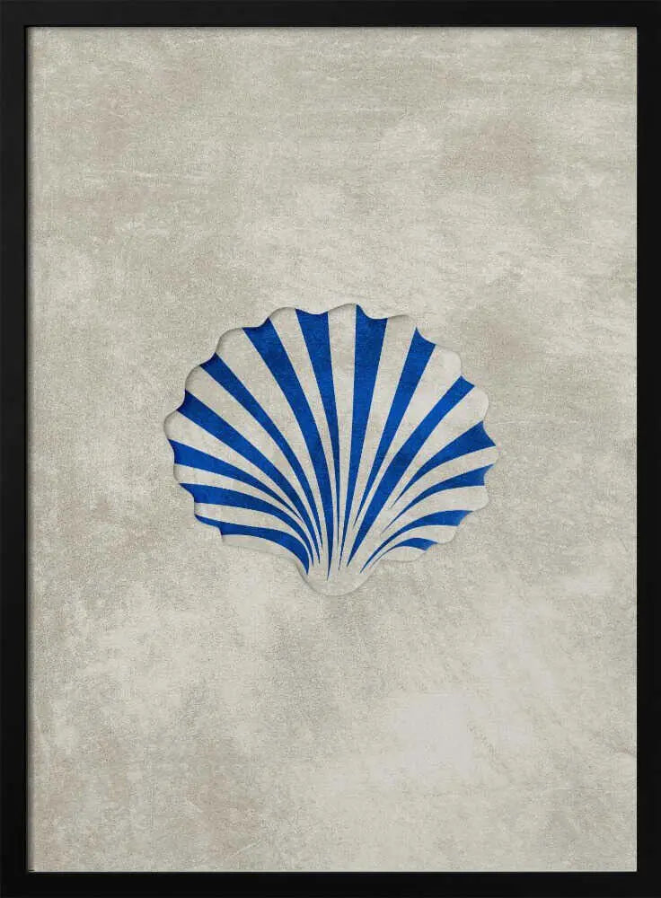 Blue Striped Scallop
