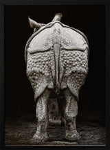 Textured Rhino Back
