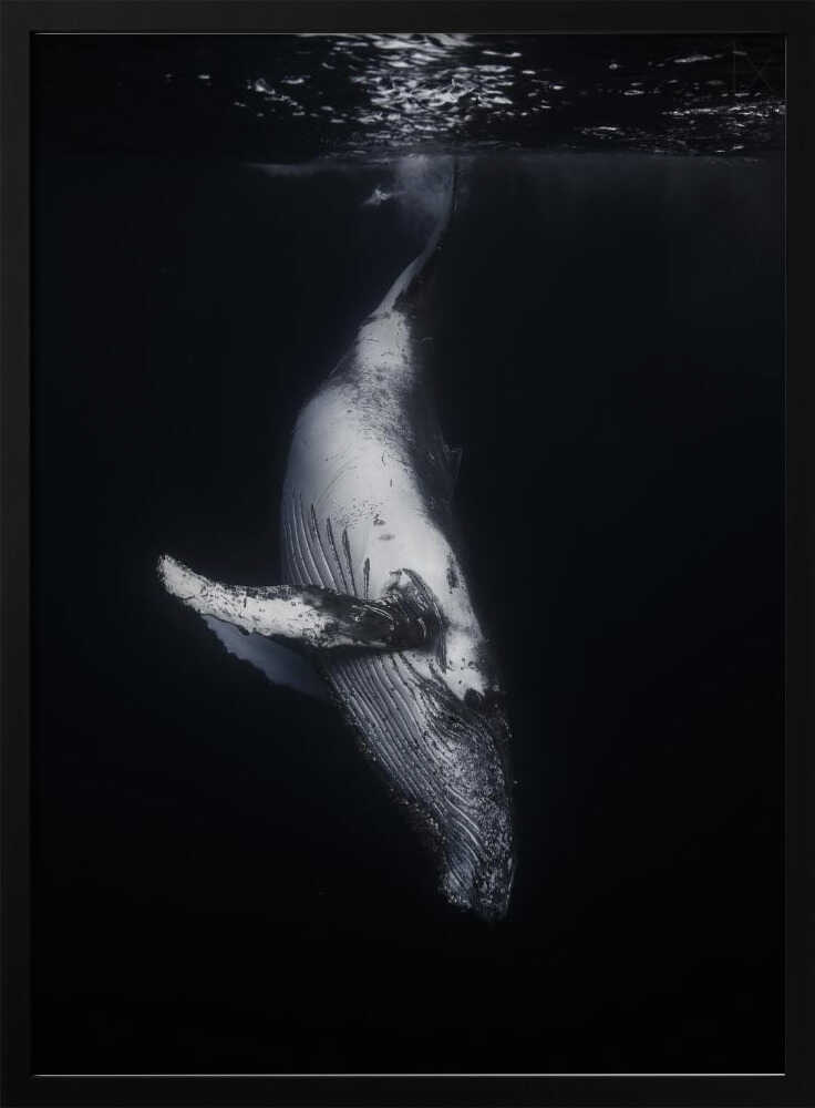 Whale In The Deep Art Print UK — Dark Moody Dark Wall Art — Living Room — Wall It All Prints