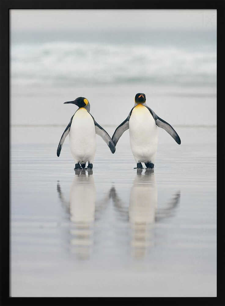 Loving Penguin Couple Art Print UK — Landscape Calm Wall Art — Bedroom — Wall It All Prints