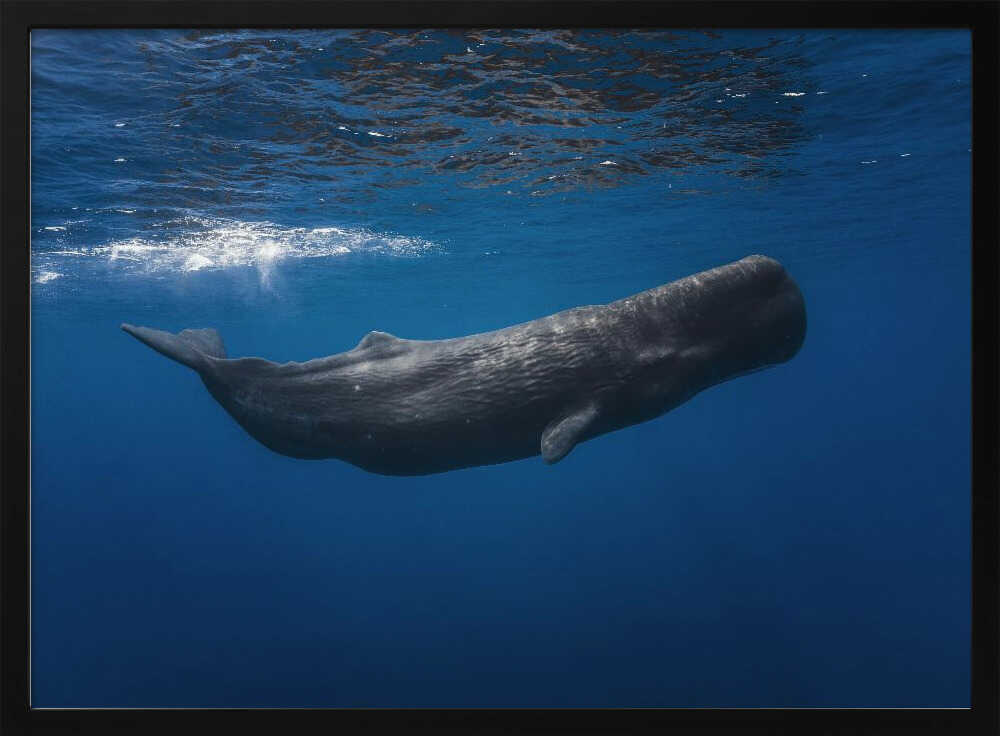 Deep Blue Whale Art Print UK — Landscape Calm Wall Art — Bedroom — Wall It All Prints