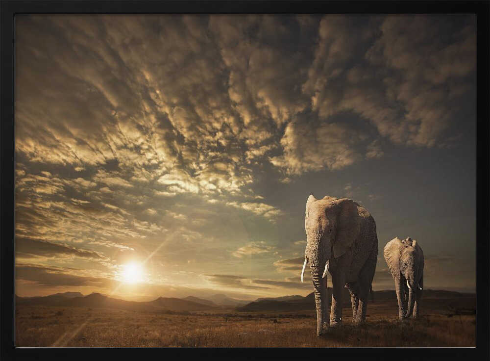 African Sunset Elephants Art Print UK — Landscape Calm Wall Art — Living Room — Wall It All Prints