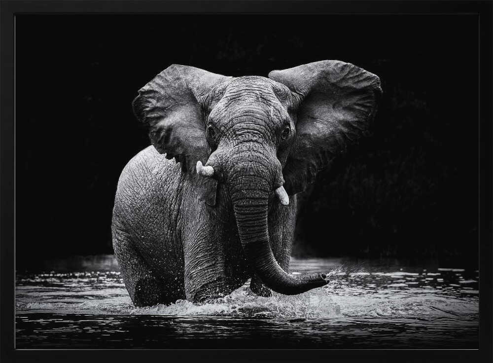 Majestic Elephant In Water Art Print UK — Dark Moody Dark Wall Art — Living Room — Wall It All Prints