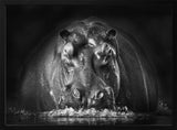Powerful Hippo Emerge Art Print UK — Dark Moody Dark Wall Art — Living Room — Wall It All Prints