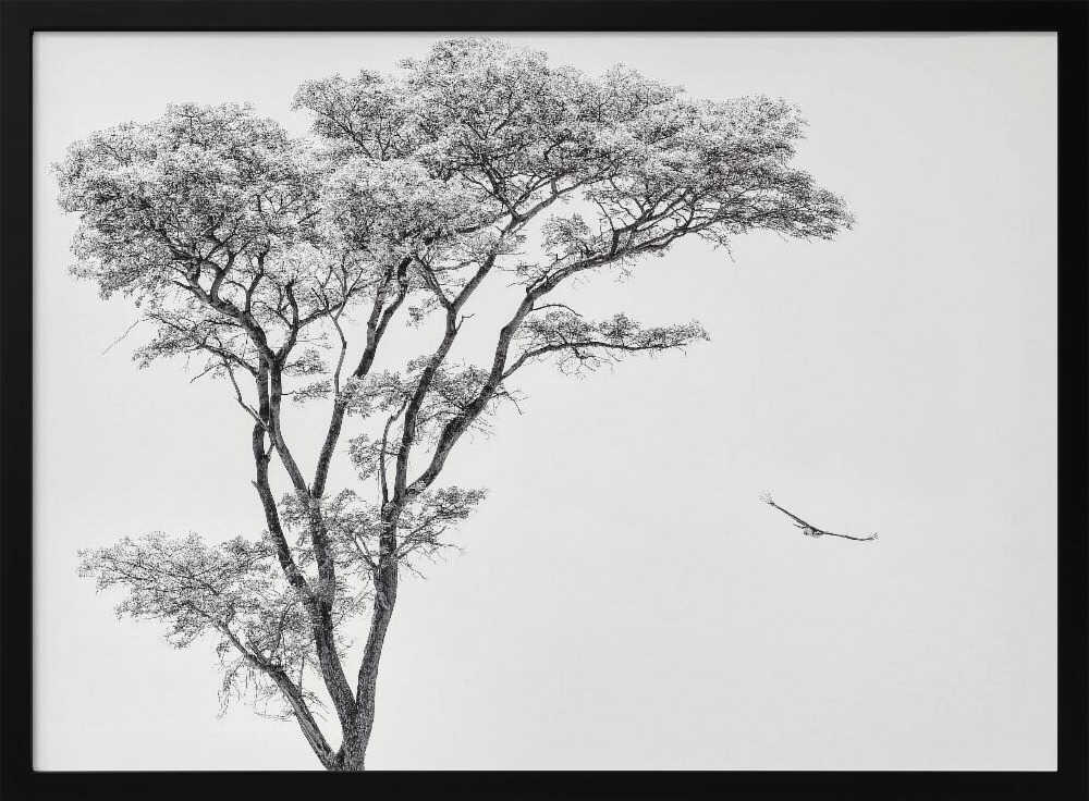 Tree and Bird Flight Art Print UK — Abstract Calm Wall Art — Bedroom — Wall It All Prints