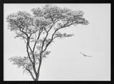 Tree and Bird Flight Art Print UK — Abstract Calm Wall Art — Bedroom — Wall It All Prints