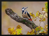 Autumn Woodpecker Art Print UK — Landscape Dark Wall Art — Living Room — Wall It All Prints