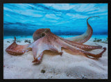 Gentle Octopus Underwater Art Print UK — Landscape Calm Wall Art — Bedroom — Wall It All Prints