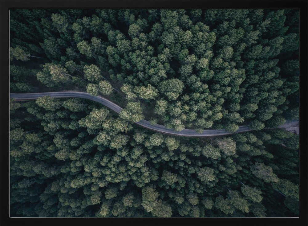 Winding Forest Road Art Print UK — Landscape Calm Wall Art — Living Room — Wall It All Prints