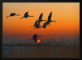 Cranes Flying at Sunset Art Print UK — Dark Moody Calm Wall Art — Living Room — Wall It All Prints