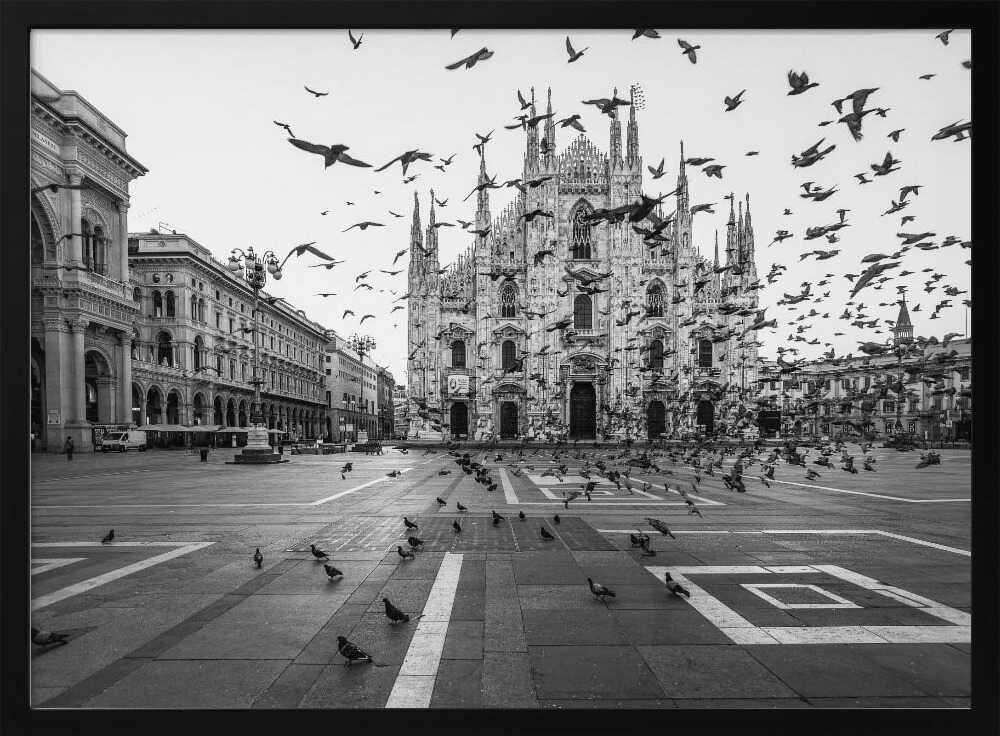 Piazza Duomo Pigeons Art Print UK — Dark Moody Dark Wall Art — Living Room — Wall It All Prints