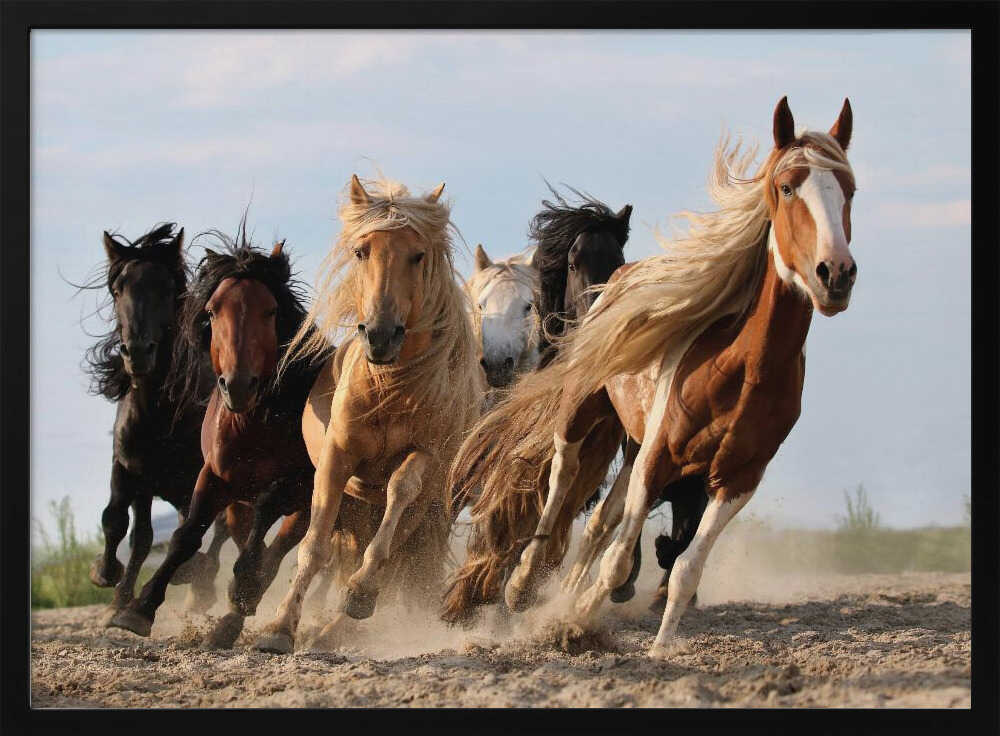 Wild Horses Run Free Art Print UK — Animal Vibrant Wall Art — Living Room — Wall It All Prints