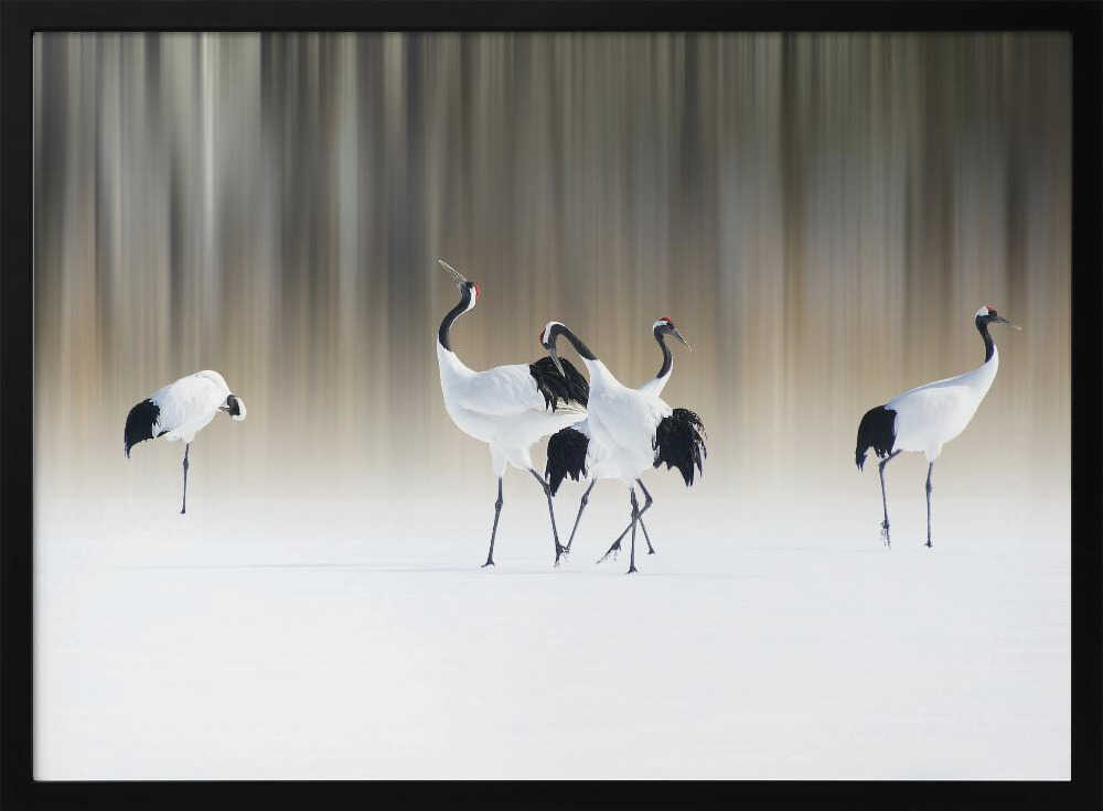 Graceful Cranes in Snow Art Print UK — Japanese Calm Wall Art — Living Room — Wall It All Prints