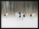 Graceful Cranes in Snow Art Print UK — Japanese Calm Wall Art — Living Room — Wall It All Prints