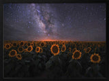 Milky Way Sunflower Field